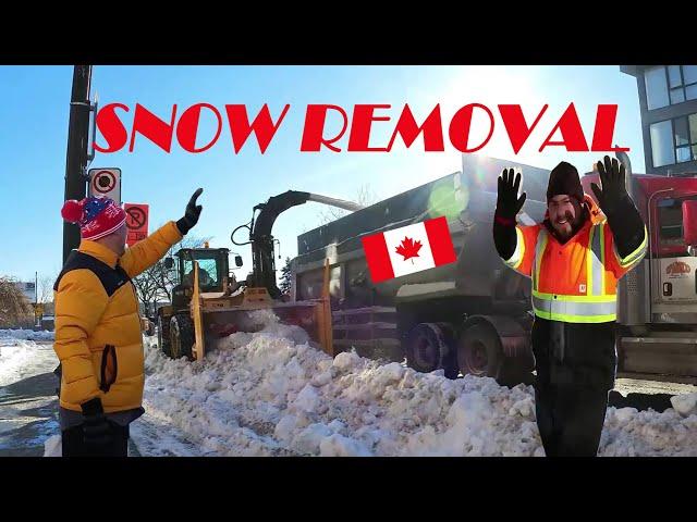 Snow REMOVAL & DUMP in Montreal Quebec蒙特利尔除雪——加拿大海哥 Hihai Montreal