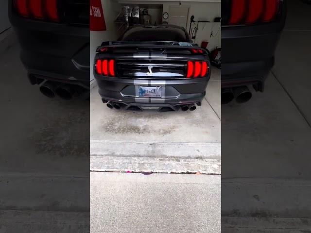 Shelby GT500 Cold Start ️ Best Sounding V8? 