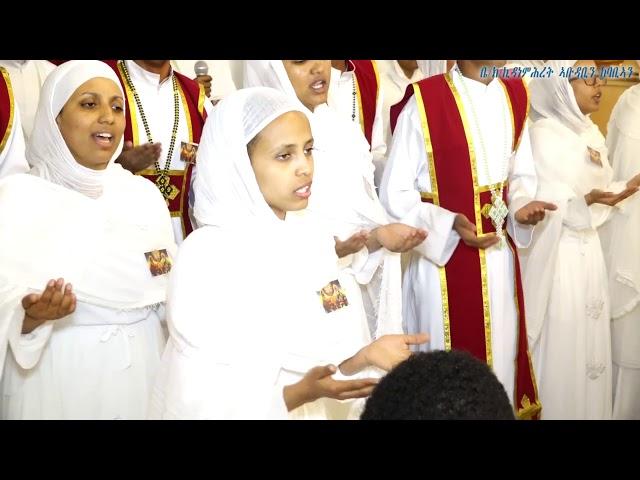 ፍረ ልሳን ኣበው /Fre Lsan Abew/ -  2019