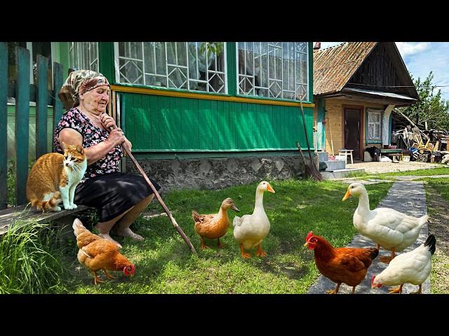 Grandma’s Life in the Carpathians: Garden, Memories, and Love for the Land