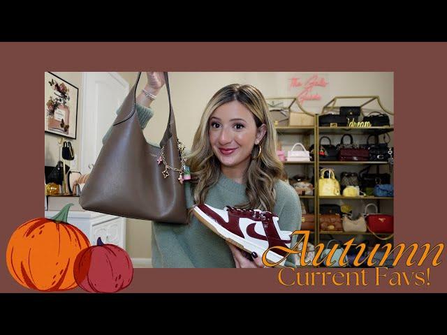 Fall Favorites and Handbags in Rotation 2024! 