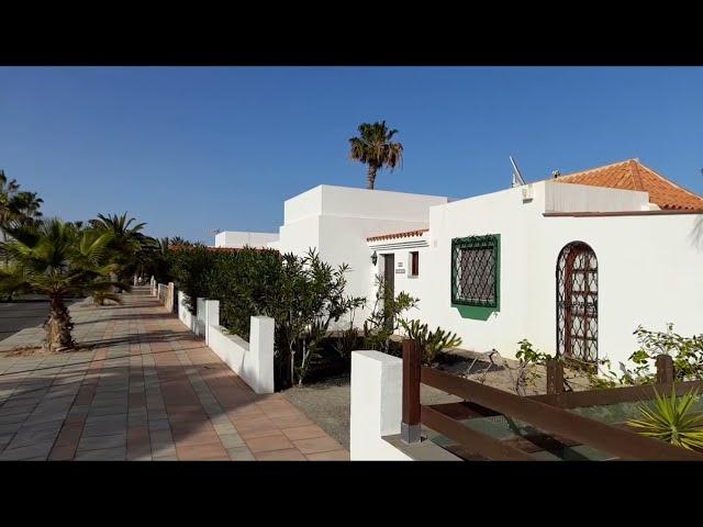 Caleta de Fuste in February Fuerteventura daily walk with a dog.