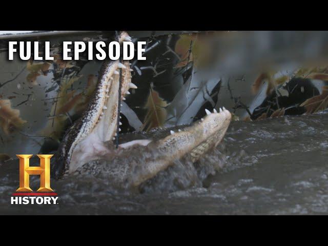 Swamp People: Cannibal Gator Hunt in the Big Bull Bayou (S11, E11) | Full Episode
