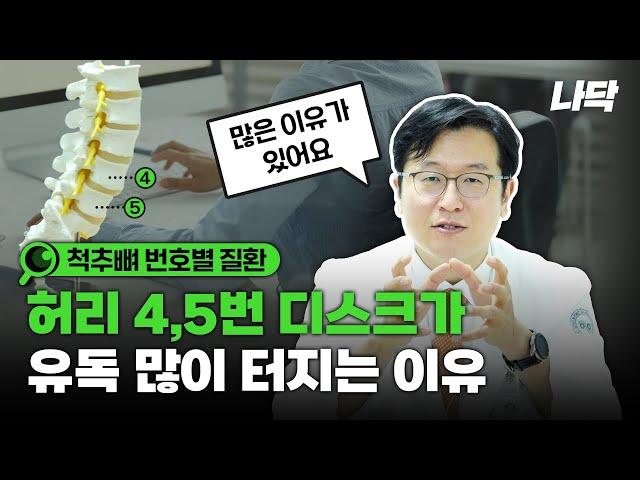 척추 4번 5번?  척추 번호마다 생기는 질환이 다르다?