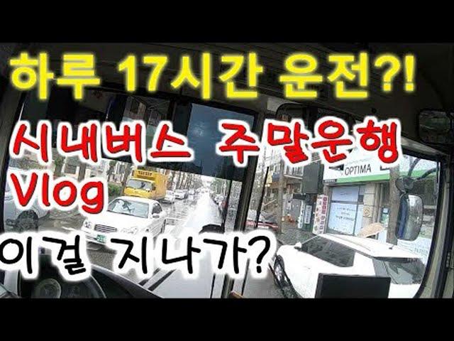 하루 17시간 운전! 시내버스기사 브이로그(버스기사 일상)