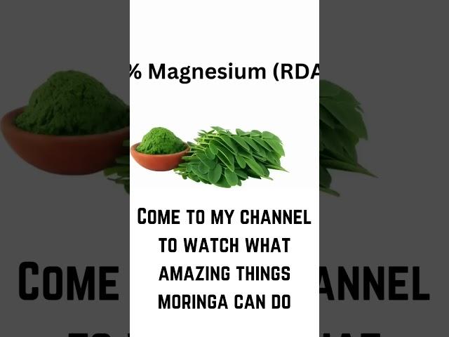 The MOST Powerful Benefit of Moringa #moringabenefits