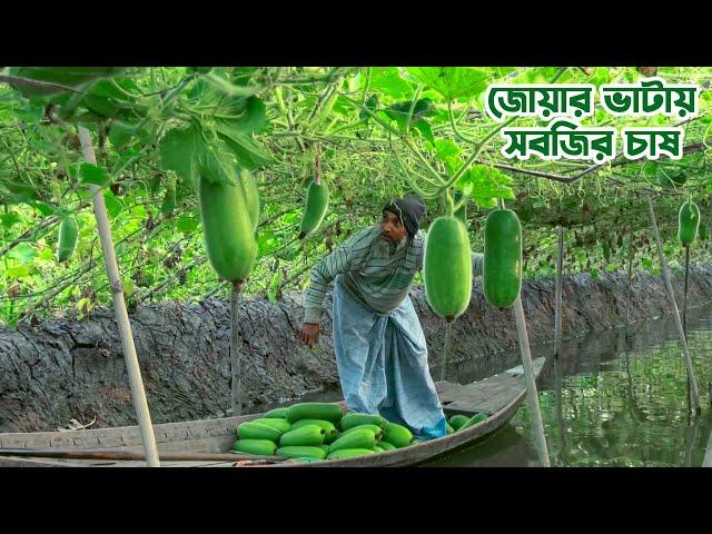 জোয়ার ভাটায় সবজি চাষ || Panorama Documentary