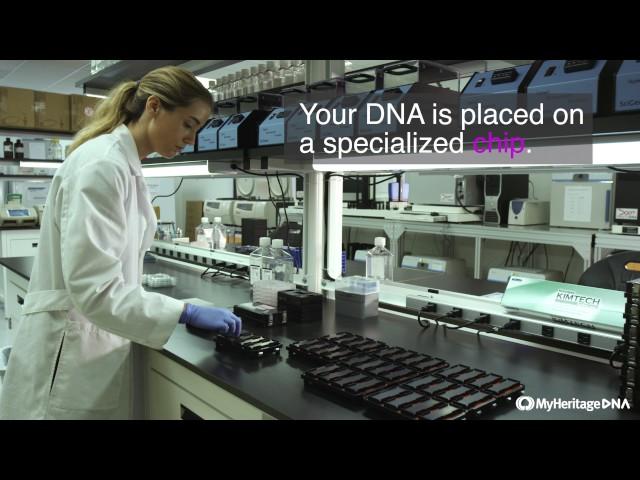 MyHeritage DNA Journey