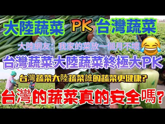 大陸蔬菜對比台灣蔬菜，大陸網友：我家的蔬菜放一個月不壞！台灣蔬菜大陸蔬菜終極大pk，誰的蔬菜更健康？台灣的的蔬菜真的安全嗎？誰又在科技與狠活的道路上一路狂飆遙遙領先……結局讓人驚訝……