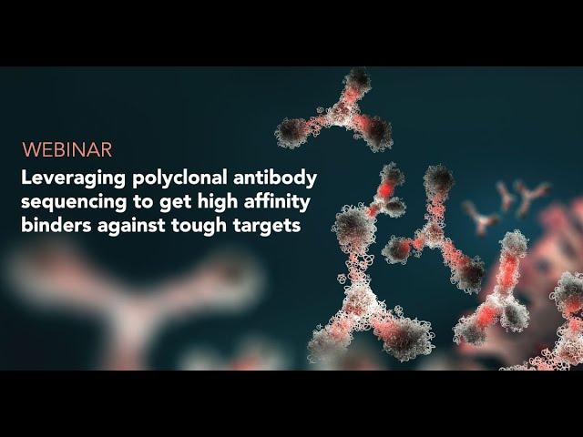 Leveraging polyclonal antibody sequencing to get high affinity binders against tough targets