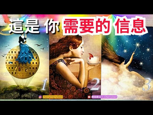   現在 你需要接收的訊息｜這是給你的緊急信息｜為你帶來 好運 與 指引️ 有字幕 🟣無時間限制占卜 🟡  #塔羅 #占卜 #字卡 #tarot #oracle #愛情 #事業 #好運