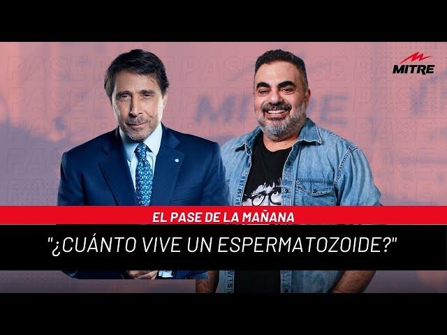 El Pase de la Mañana de Radio Mitre con Roberto Moldavsky: “¿Cuánto vive un espermatozoide?”