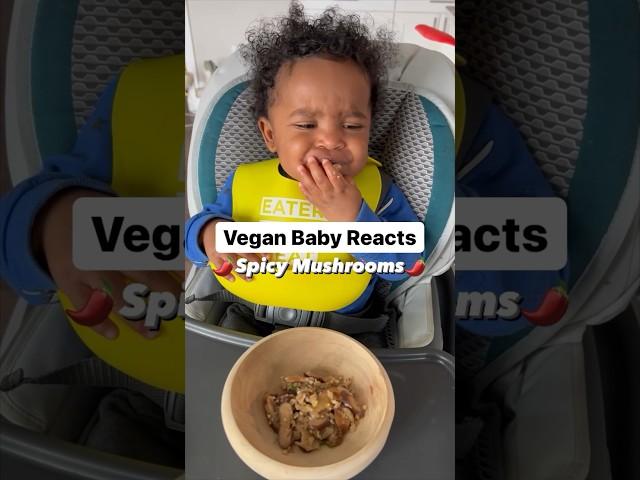 Vegan Baby Recipe & Taste Test - Episode 6: Spicy Mushrooms