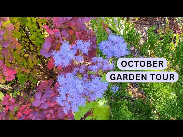 October Morning Garden Glow (Fall Tour)