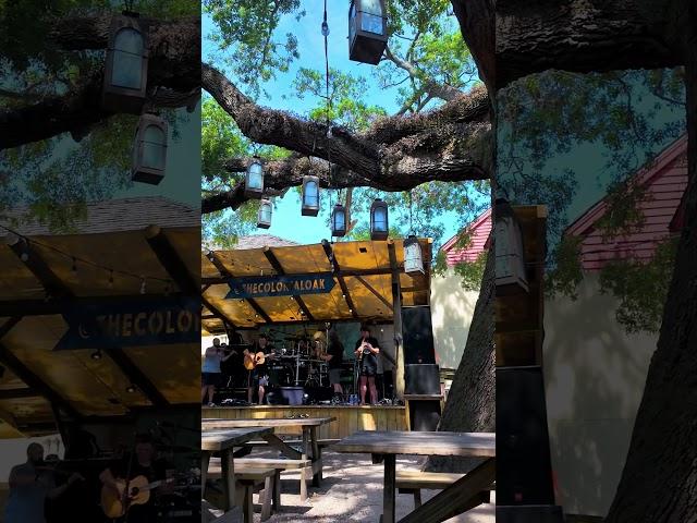 Colonial Oak Music Park | Live Music Under the Ancient Oaks!  #travel #tour