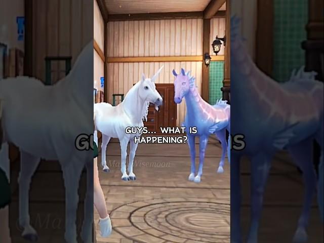 If you're in my walls please reveal yourself  || Star Stable Online