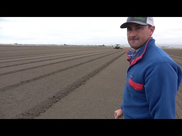 Lettuce Production in the Salinas Valley