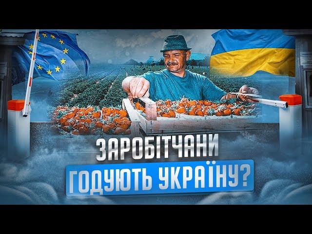 Заробітчани і економіка України