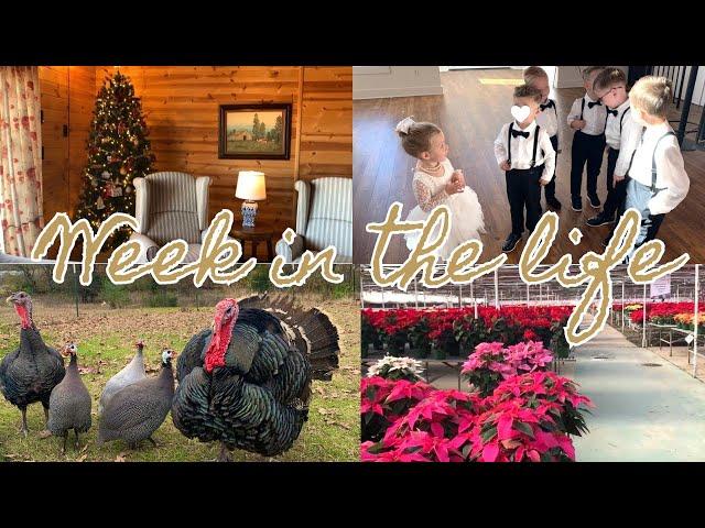 Thanksgiving Vlog | Busy Week in the Life | Prepping For a Busy Week | Wedding Vlog