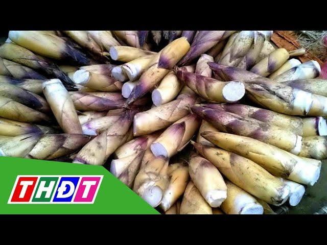 Măng Tây Bắc sốt rần rần, giá bán tăng cao | THDT