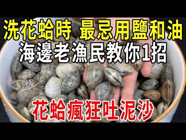 清洗花蛤時，最忌用鹽和油，海邊老漁民教你一招，花蛤瘋狂吐泥沙【圍裙媽媽】