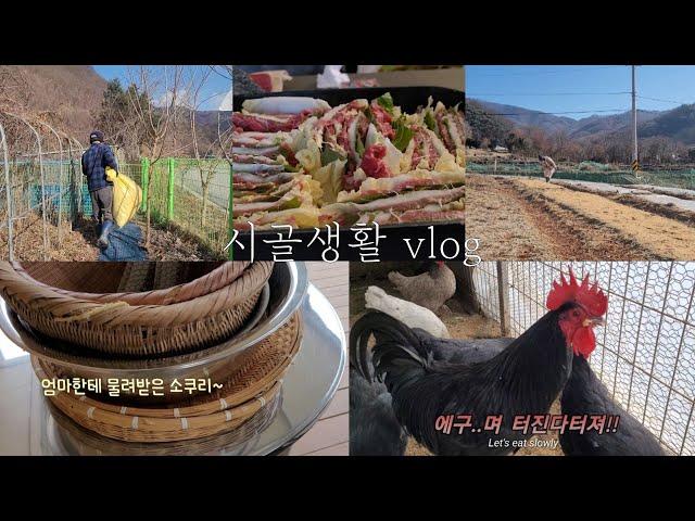 시골생활 vlog사람도 동물도 봄을 기다리는 겨울날의 시골일상