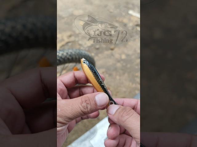 Unleash Your Catching Power : Master Soft Lure Hook Attachment Techniques