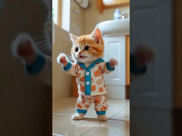 Dudi Dudi Dum Dum  #cat #adoreble #cutecat #catlovers #funny #dance #shortsfeed