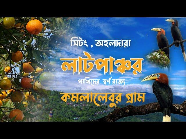 Latpanchar |sitong tour from kolkata |Bird Watching Tour | Sitong orange Village | Sitong | Kurseong