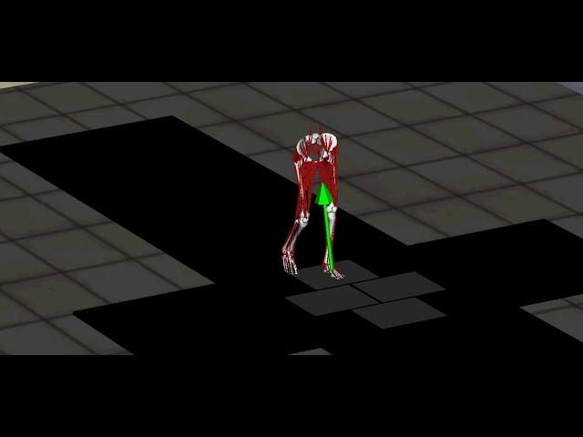 Walking simulation using OpenSim