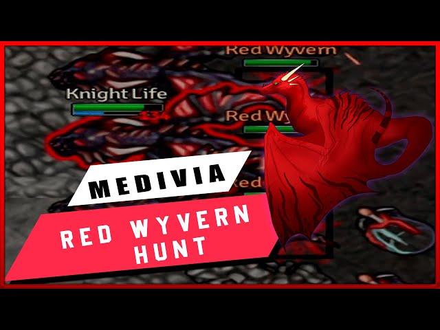 |MEDIVIA ONLINE | RED WYVERNS HUNT|AFTER UPDATE|