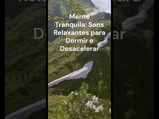 Mente Tranquila:  Sons Relaxantes para Dormir e Desacelerar! #MenteCalma #MúsicaRelaxante #BemEstar