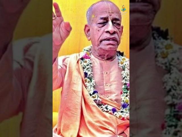 The purpose of going to pilgrimage... ~HDG Srila Prabhupada #shorts