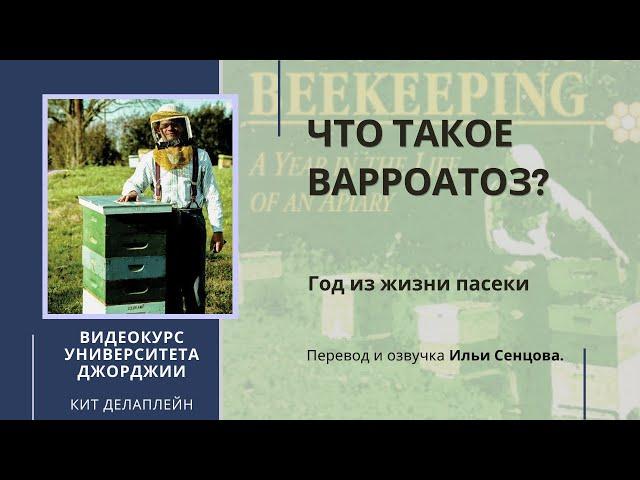 Что такое варроатоз? Клещ варроа (Университет Джорджии)