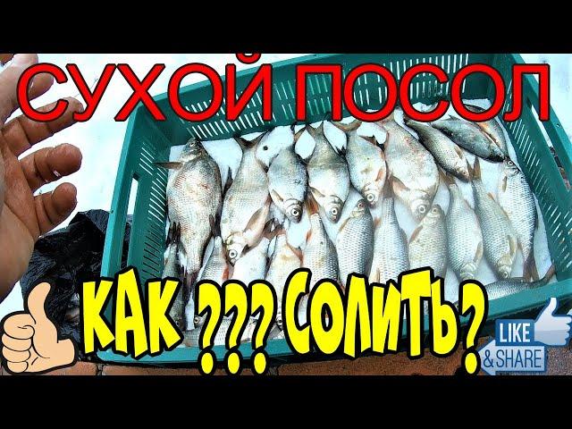 СУХОЙ ПОСОЛ!КАК ?ПРАВИЛЬНО  ВКУСНО ПОСОЛИТЬ СУХИМ ПОСОЛОМ ЛЮБУЮ РЫБУ,  ЛУЧШИЙ РЕЦЕПТ СУШЕНОЙ ТАРАНИ!