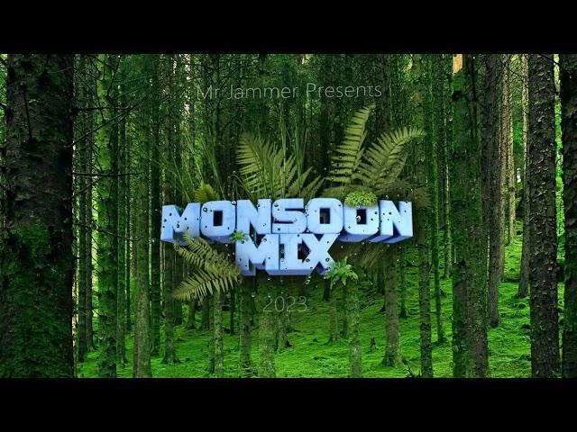 Mr Jammer - Monsoon Mix 2023 | Compilation Set | 50mins +