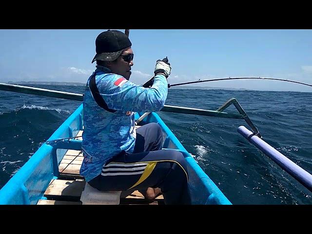 TRALALA fishing community strike Amberjack fish , tehnick slow pitc jigging