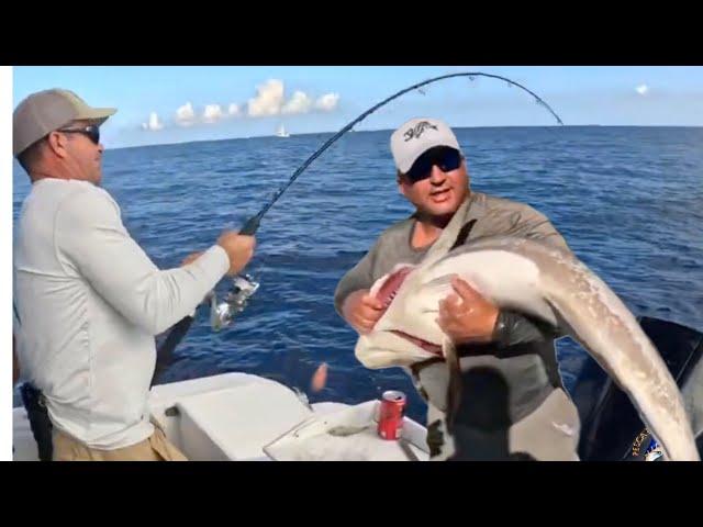 Pesca masiva en los cayos de florida y lo que puedes capturar con un Penn pursuit 3000 🫣