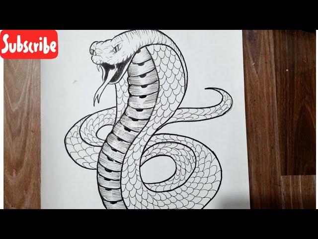 How to draw a cobra snake easy step by step || Easy Animal drawing