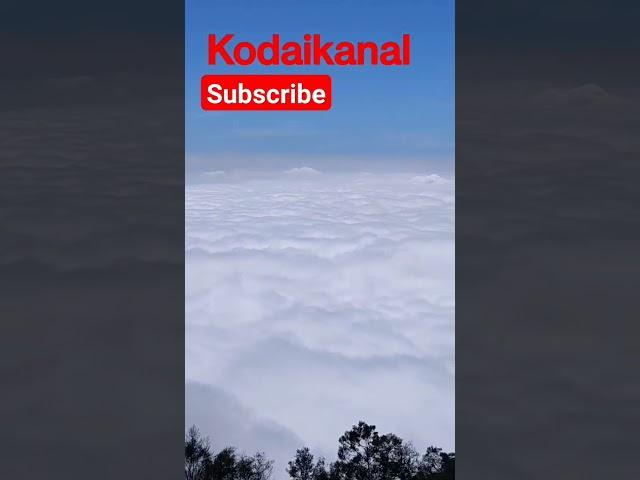 moir point kodaikanal#kodaikanal