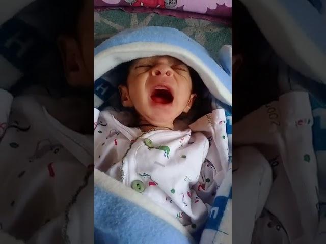 Ankit Patel vlogs# ka cute Bro