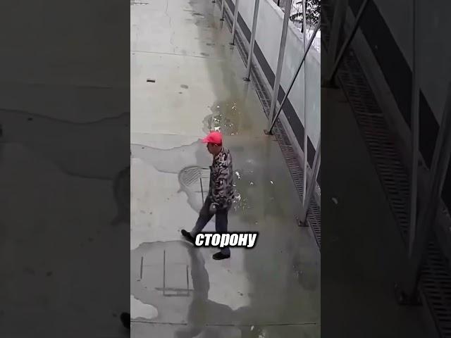 Он думал, что собака просит еду... А она просила помощи! ️