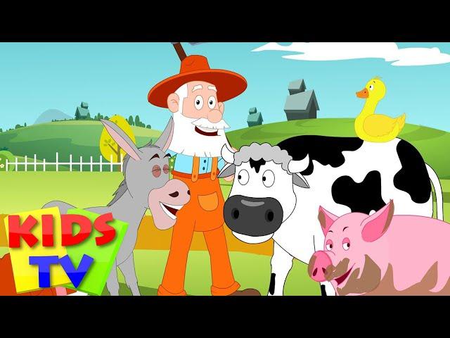 Old McDonald had a farm | Kids tv nursery rhymes | animal sound song | kids song