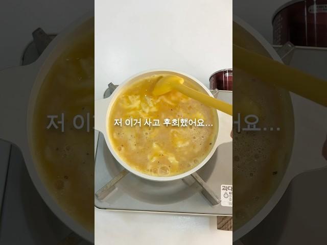 저 이거 사고 후회했어요….