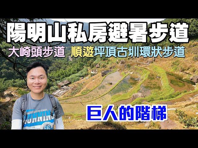 【陽明山私房夏日避暑步道 | 大崎頭步道】一睹有「巨人的階梯」之稱的水梯田！步道有樹蔭遮蔽，沿途景觀豐富！順遊坪頂古圳環狀步道，一次遊覽三條百年古圳！ | 陽明山景點、台北景點