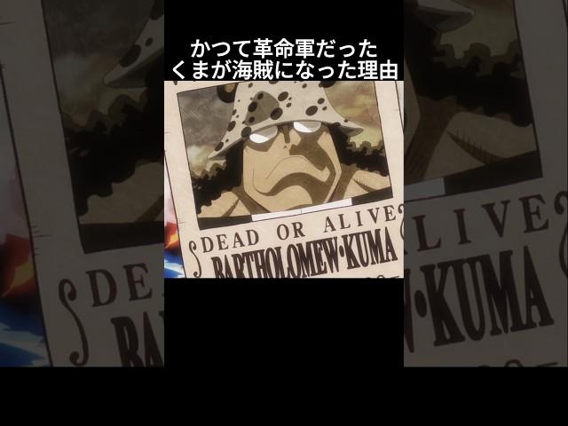 The reason why Kuma, who was once a revolutionary, became a pirate #OnePiece