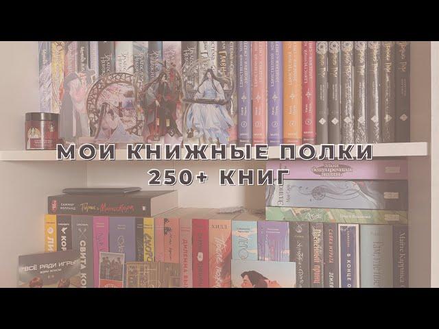 МОИ КНИЖНЫЕ ПОЛКИ | 250+ КНИГ