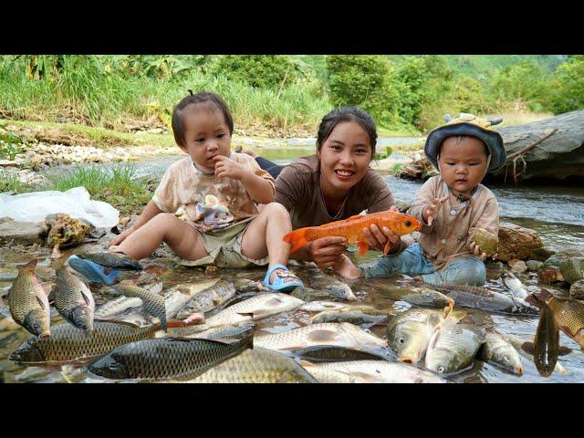 harvest a giant fish pond and sell it at the market with his sick little daughter