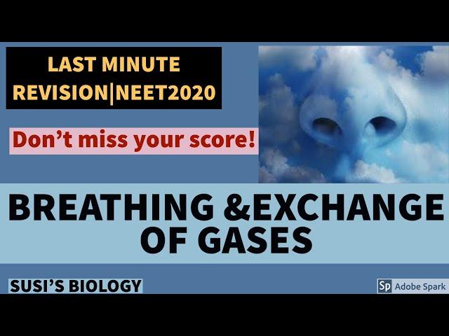 BREATHING AND EXCHANGE OF GASES|Last minute revision|Only important points in exam point of view