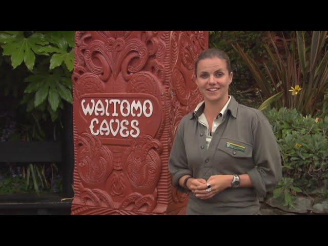 Meet the Locals: Waitomo caves